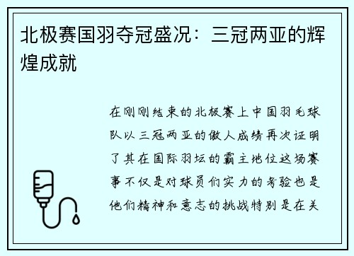 北极赛国羽夺冠盛况：三冠两亚的辉煌成就